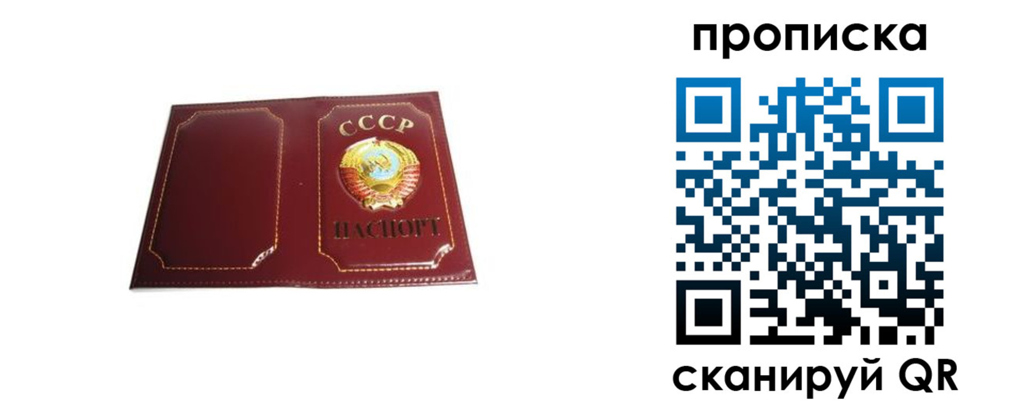 прописка гарантия в Юрьев-Польском